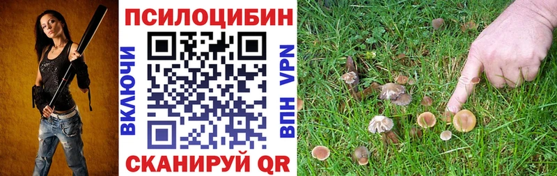 купить наркотики сайты  Карачаевск  Псилоцибиновые грибы Magic Shrooms 