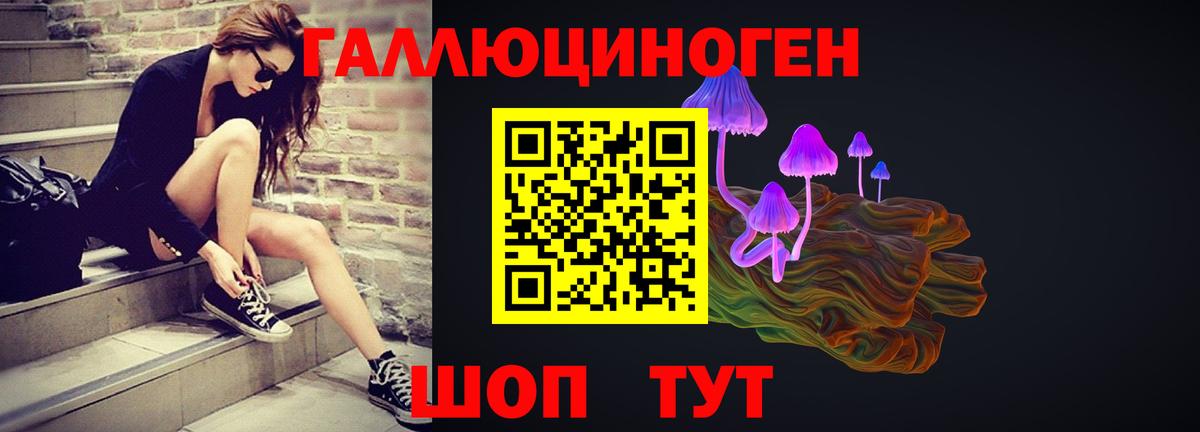 Галлюциногенные грибы MAGIC MUSHROOMS Карачаевск